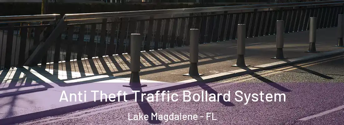 Anti Theft Traffic Bollard System Lake Magdalene - FL