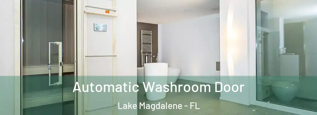 Automatic Washroom Door Lake Magdalene - FL