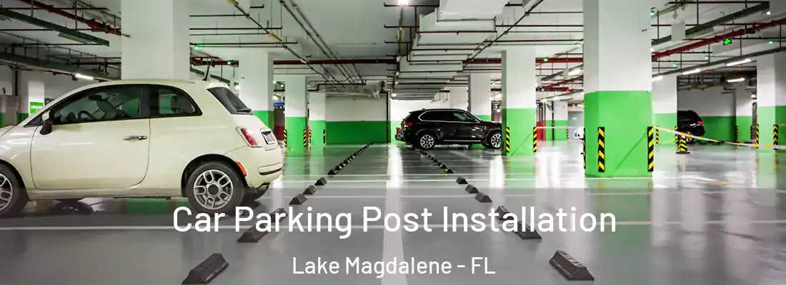 Car Parking Post Installation Lake Magdalene - FL