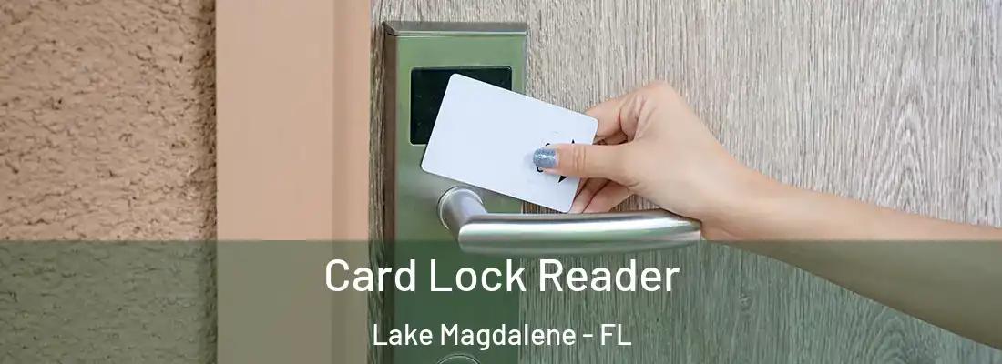 Card Lock Reader Lake Magdalene - FL