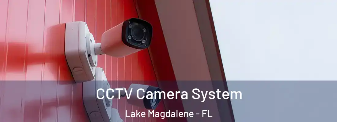  CCTV Camera System Lake Magdalene - FL