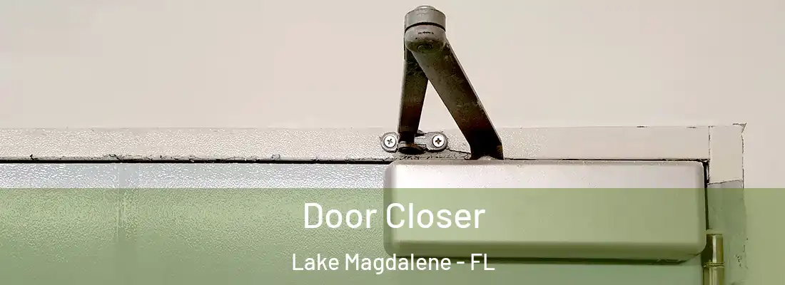 Door Closer Lake Magdalene - FL
