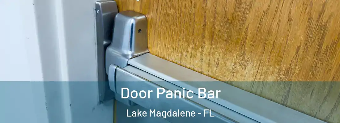  Door Panic Bar Lake Magdalene - FL