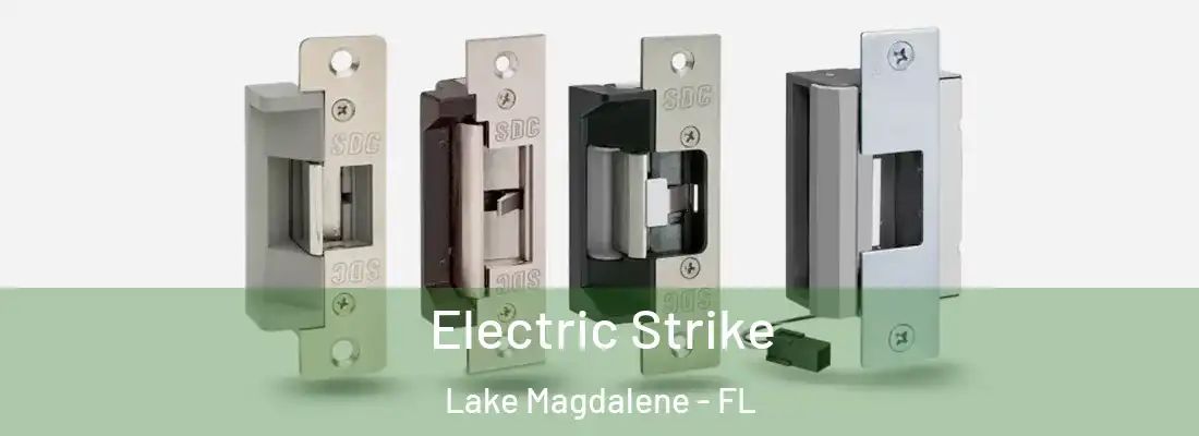 Electric Strike Lake Magdalene - FL