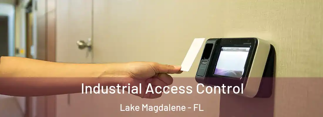  Industrial Access Control Lake Magdalene - FL