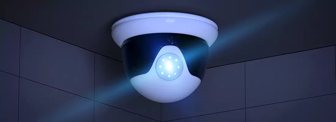 Affordable Night Vision CCTV Camera Services in Lake Magdalene, FL