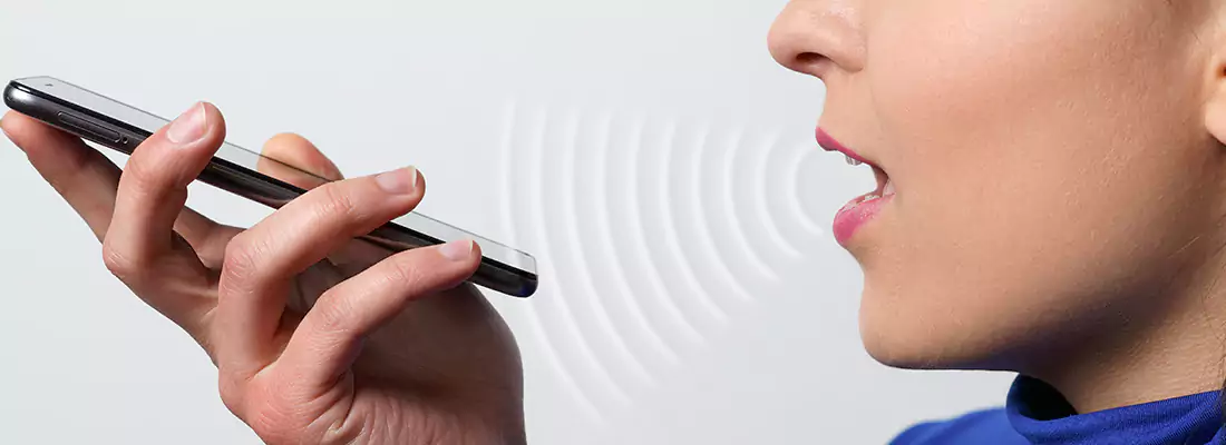 Residential and Commercial Voice Recognition Access Solutions in Lake Magdalene, FL