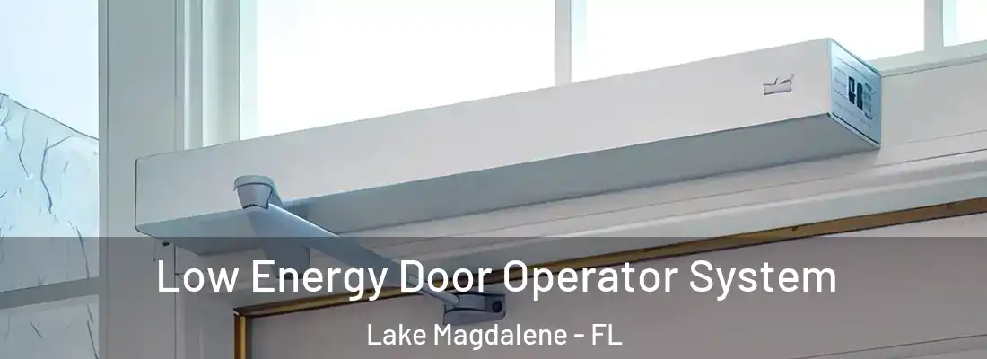 Low Energy Door Operator System Lake Magdalene - FL