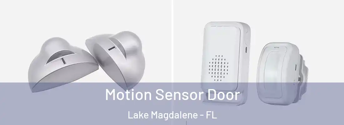 Motion Sensor Door Lake Magdalene - FL
