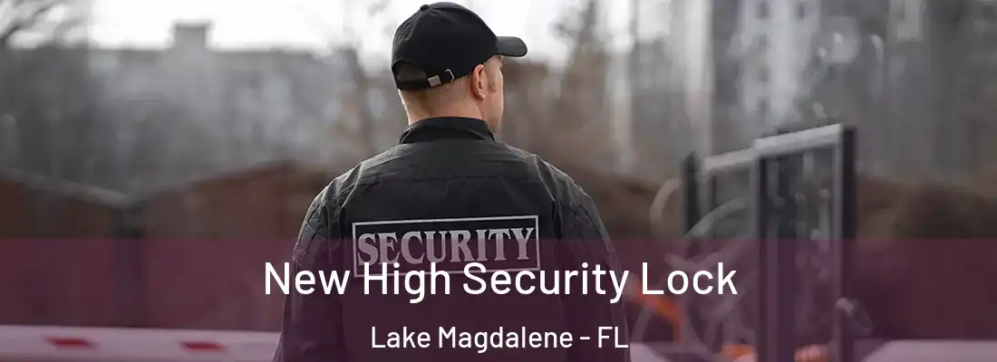 New High Security Lock Lake Magdalene - FL