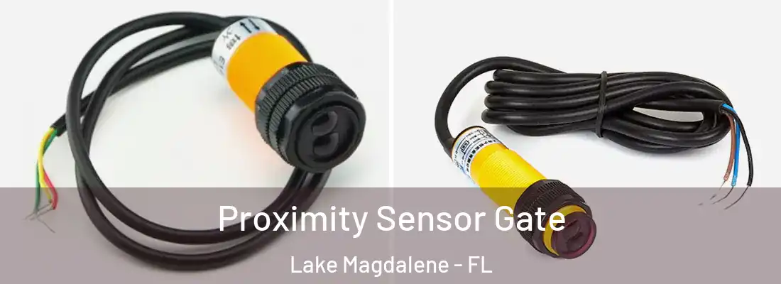 Proximity Sensor Gate Lake Magdalene - FL