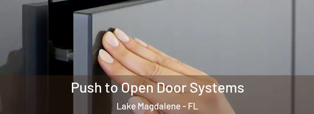 Push to Open Door Systems Lake Magdalene - FL