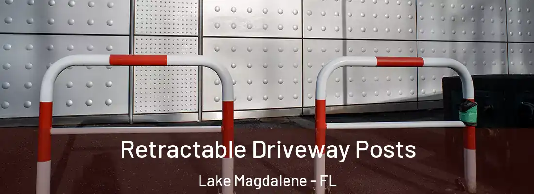 Retractable Driveway Posts Lake Magdalene - FL