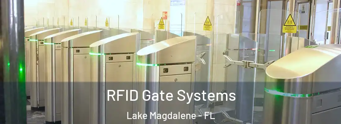 RFID Gate Systems Lake Magdalene - FL